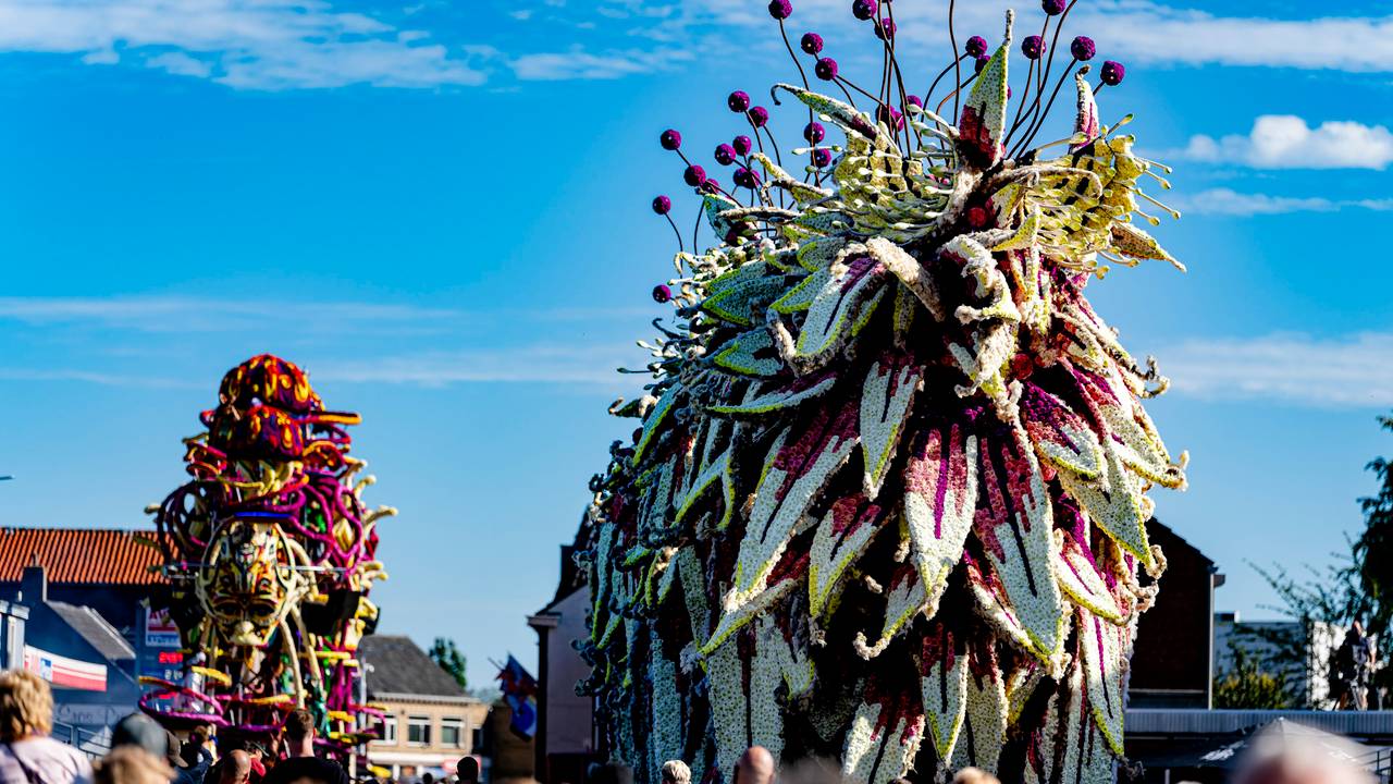 Buurtschap Schijf met Is It Alive. (foto: MARCEL VAN DORST / EYE4IMAGES).