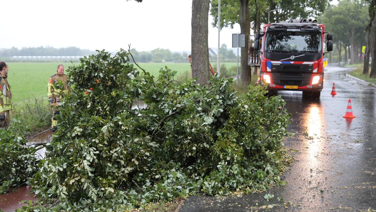 Grote tak valt op de weg in Roosendaal