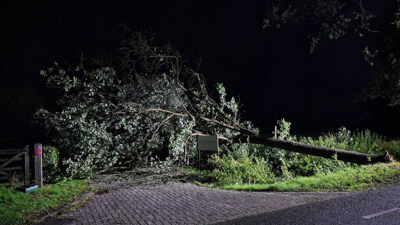 Foto: Toby de Kort/Persbureau Heitink