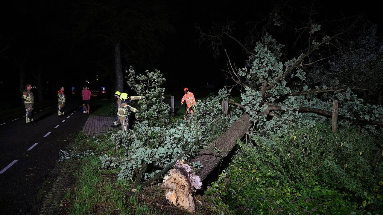 Foto: Toby de Kort/Persbureau Heitink