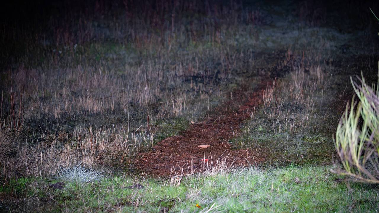 Vloeistof in weiland in Nistelrode gevonden, mogelijk lozing van drugsafval