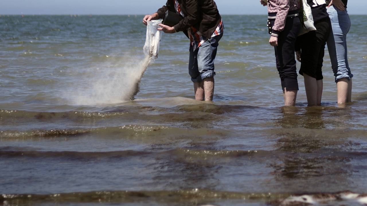 Waarom je niet zomaar de as van je dierbaren overal uit mag strooien