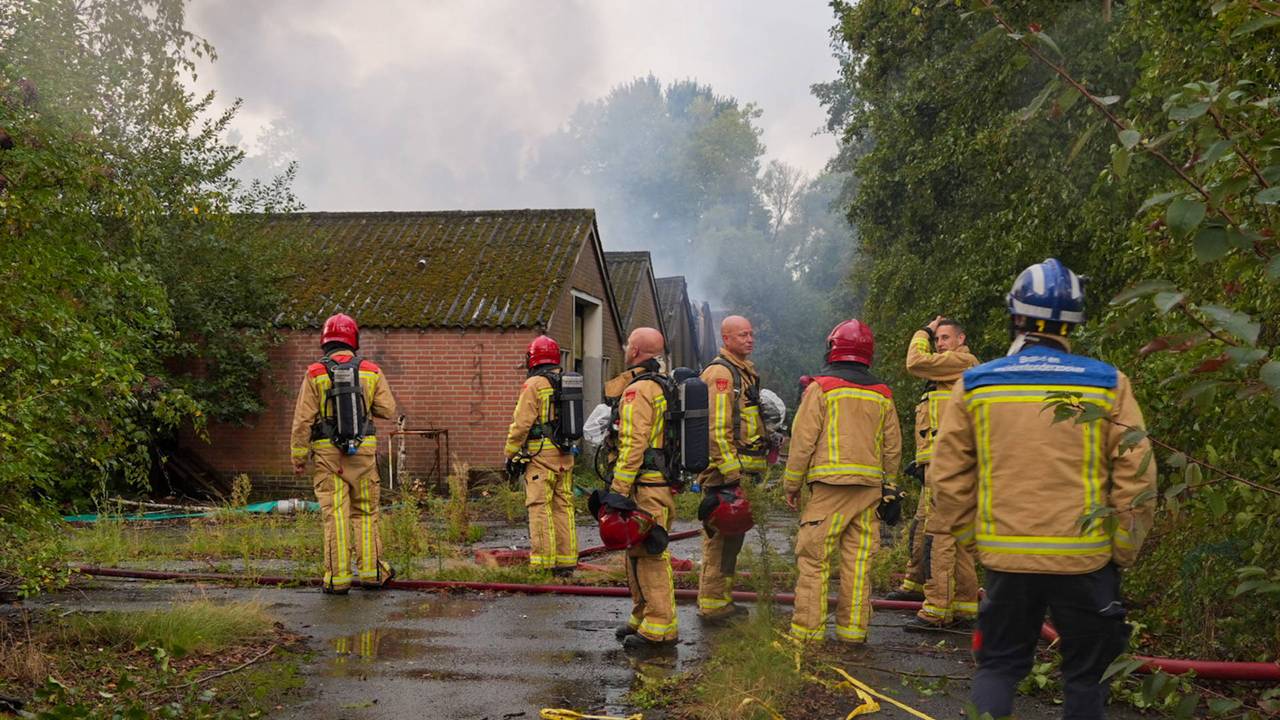 Foto: Harrie Grijseels/Persbureau Heitink