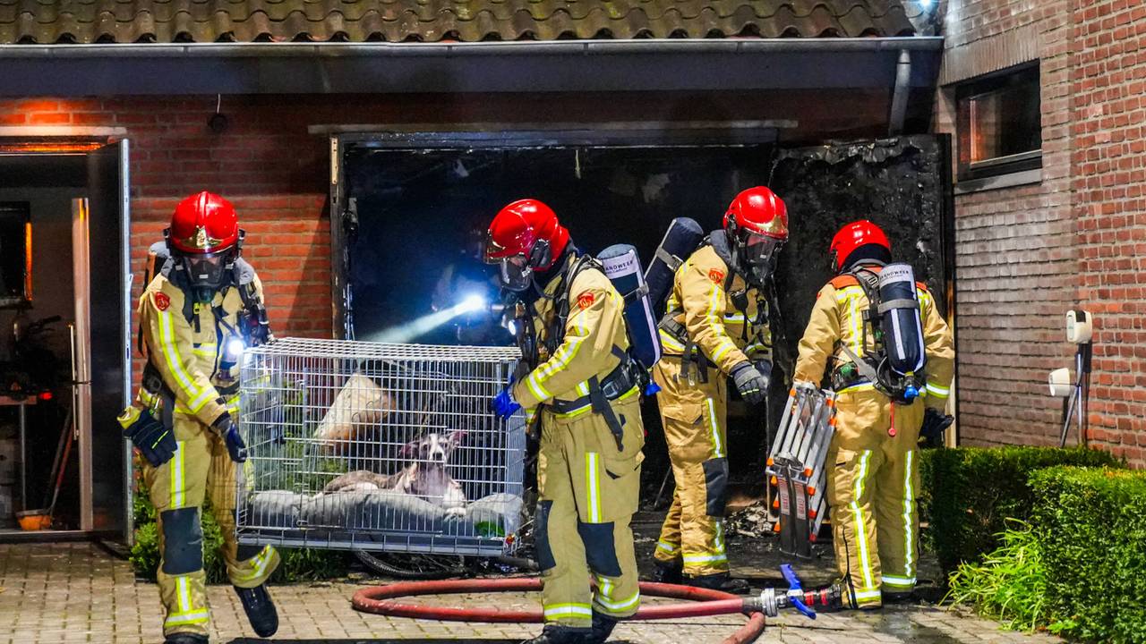 Brand in garage breidt zich uit naar huis in Geldrop, hond uit tuin gered