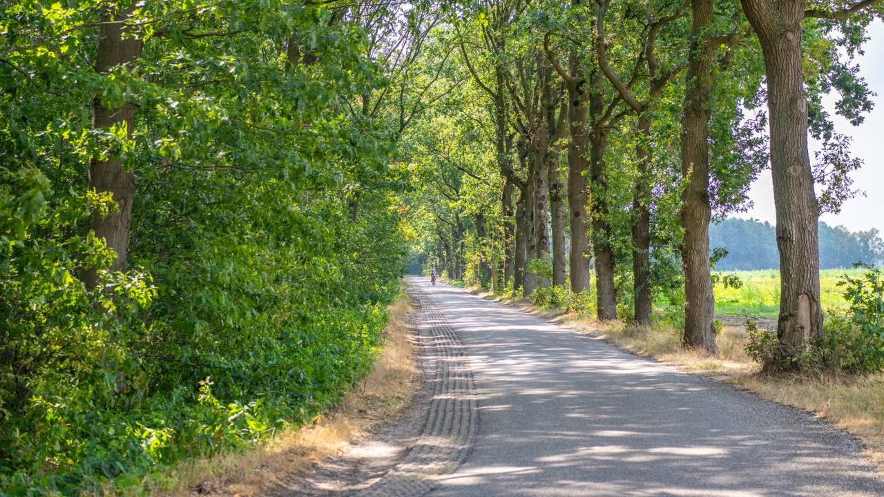 Foto: Persbureau Heitink