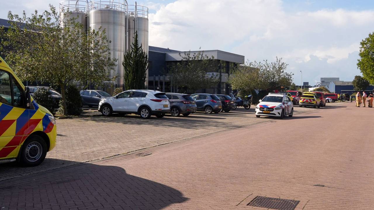 Foto: Persbureau Heitink.