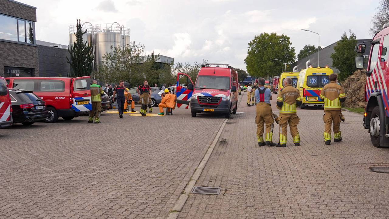 Foto: Harrie Grijseels/Persbureau Heitink.