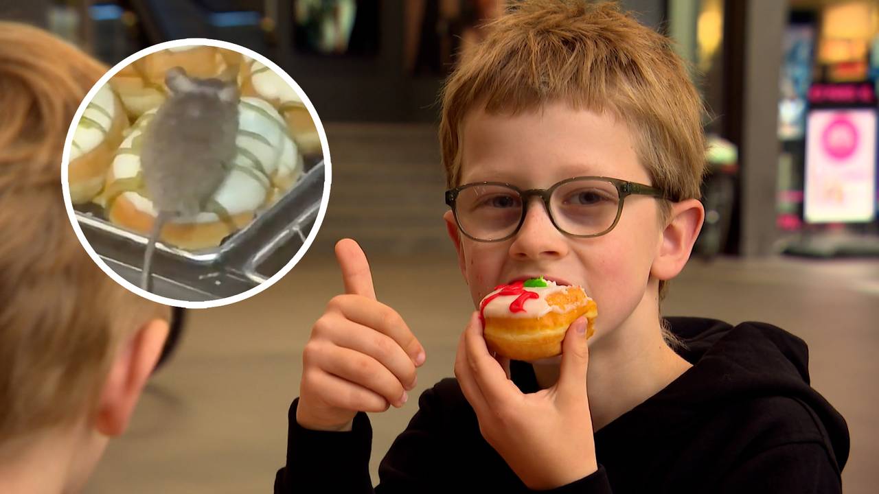 261010_WEB_HOR_DONUTMUIS