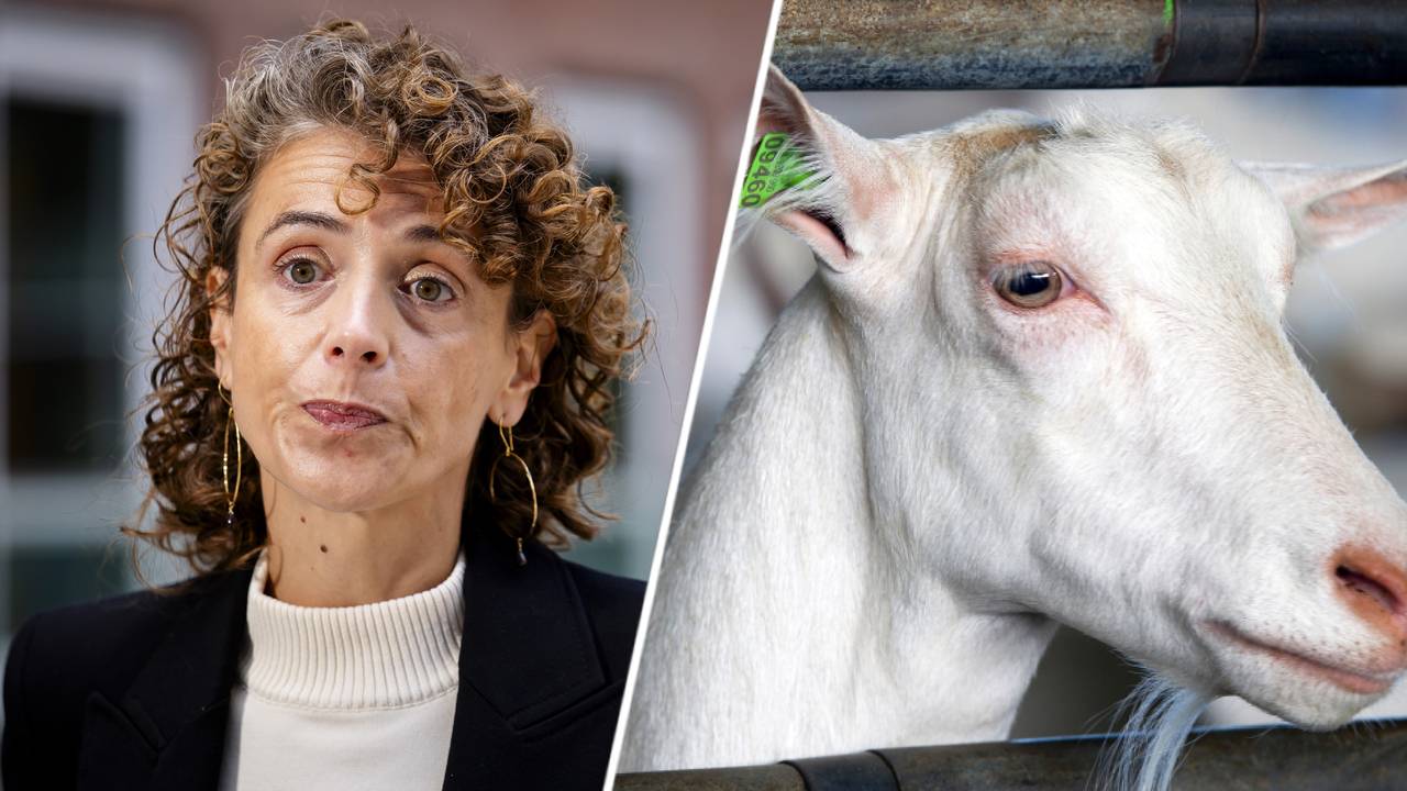 Hermans maakt excuses aan Q-koortspatiënten.