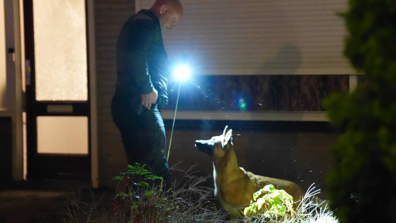Politieagenten doen onderzoek  (foto: Erik Haverhals/Persbureau Heitink).