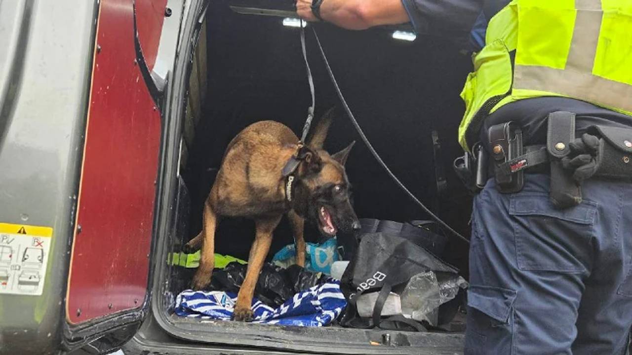 Ook een politiehond van de Douane was bij de controle (foto: Politie.nl).
