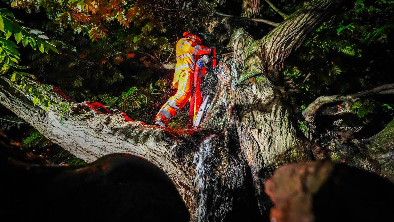 Foto: Persbureau Heitink.