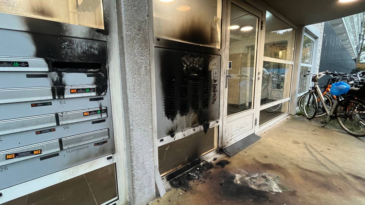 De schade is groot (foto: Eva de Schipper).