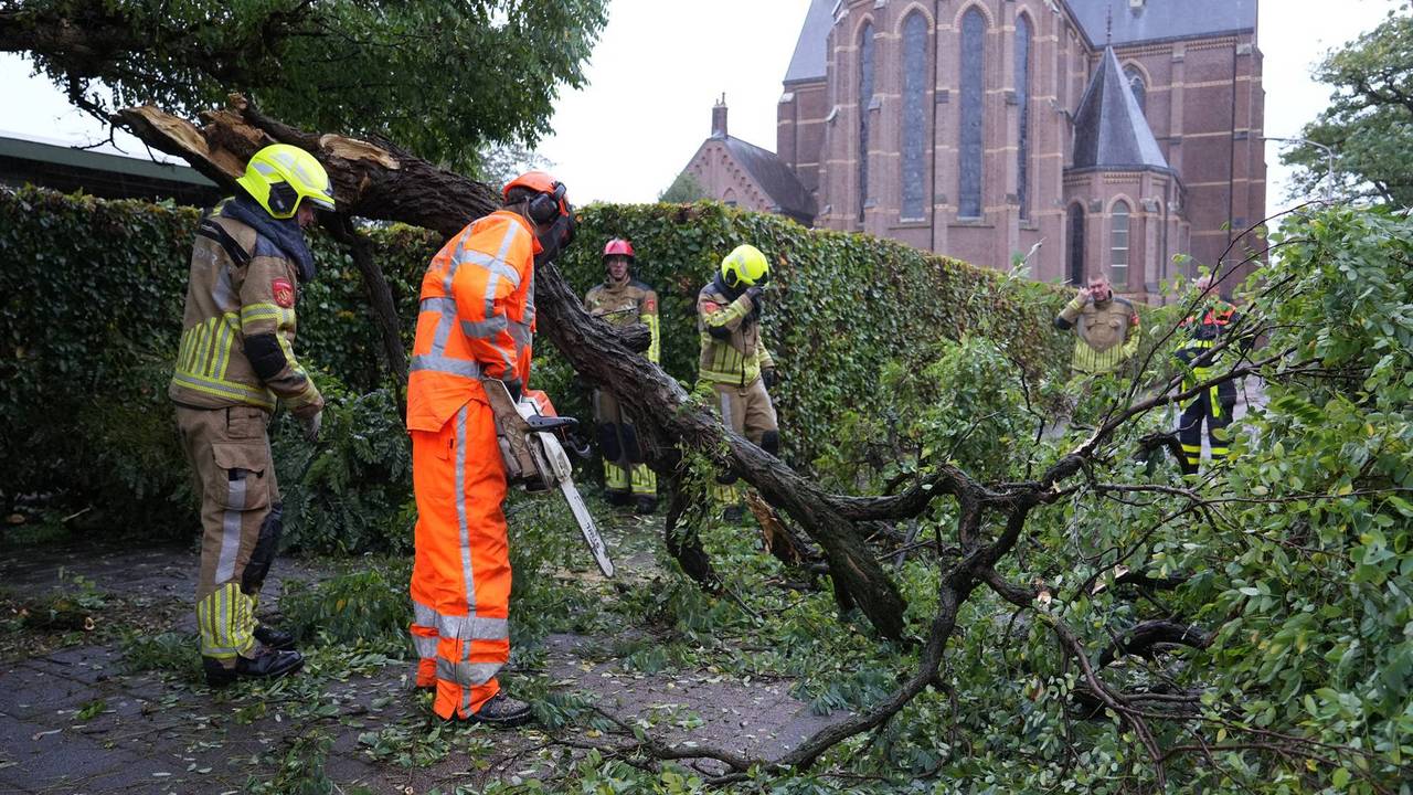 De brandweer heeft het pad vrijgemaakt (foto:  Jeroen Stuve / Persbureau Heitink).