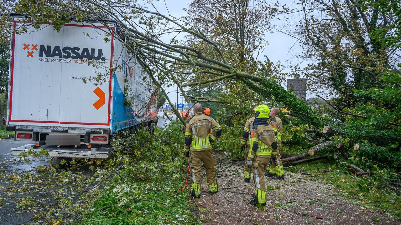 Boom valt op vrachtwagen in Breda, chauffeur ongedeerd