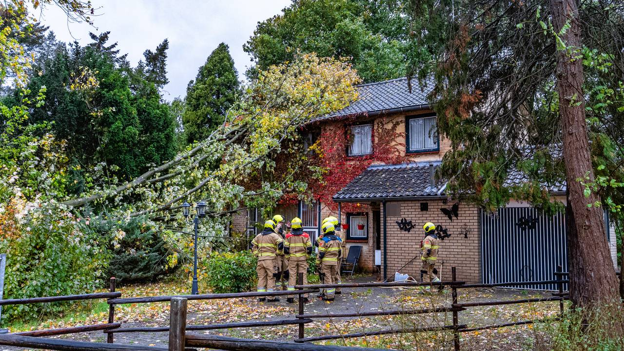 De grote tak was op het dak van het huis gevallen (foto: Lucas Lammers / Persbureau Heitink).