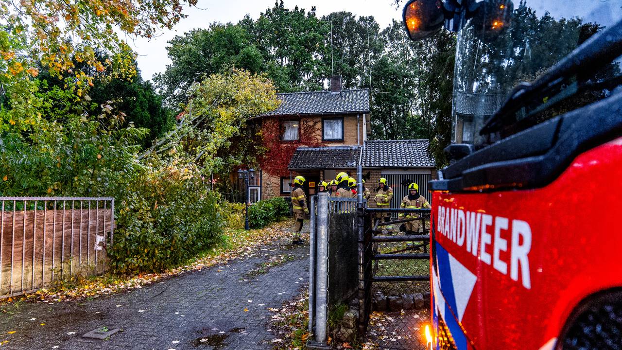 De brandweer ging niet over tot actie (foto: Lucas Lammers / Persbureau Heitink).