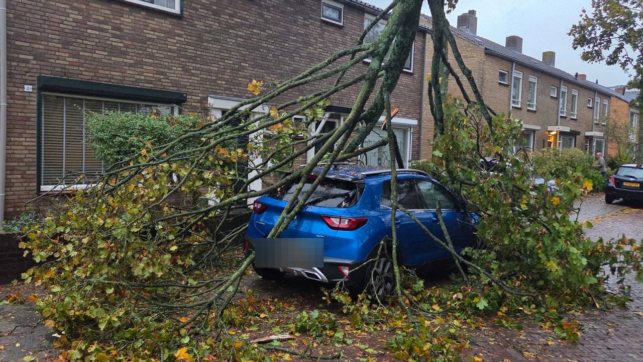 De tak kwam dwars door de voorruit van de auto (foto: omstander).