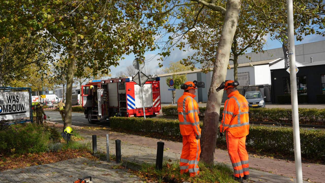 Foto: Erik Haverhals/Persbureau Heitink.