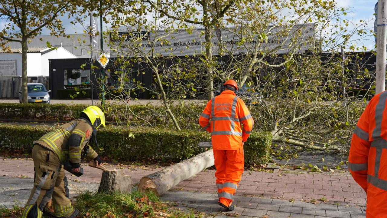 Foto: Erik Haverhals/Persbureau Heitink.