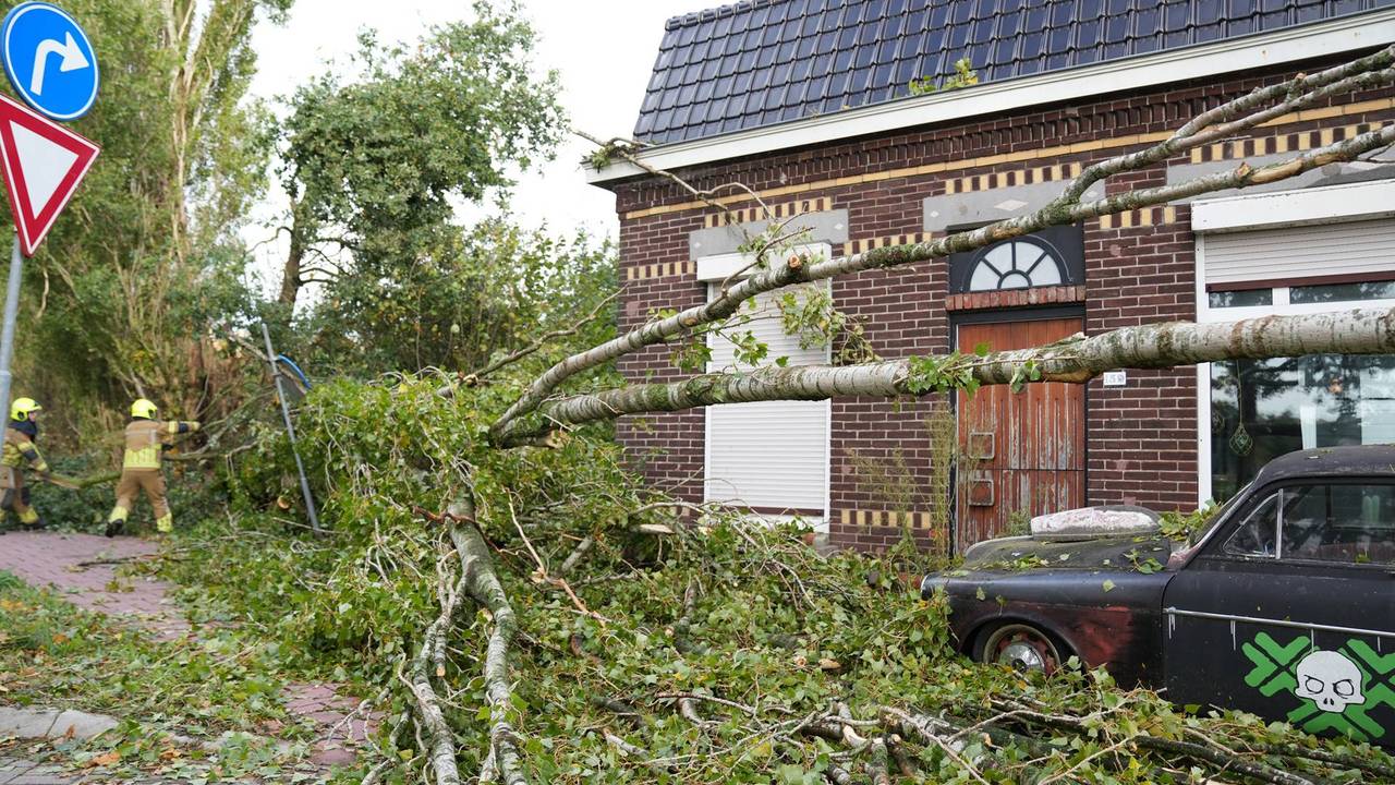 Foto: Jeroen Stuve/Persbureau Heitink.