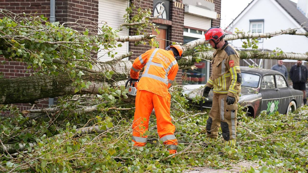 Boom valt vlak naast huis en auto in Dorst