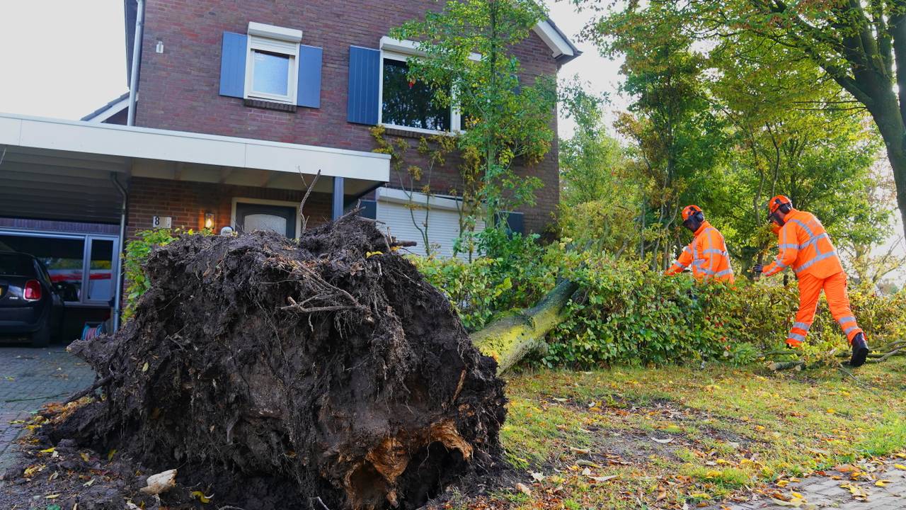 Foto: Bart Meesters/Persbureau Heitink.