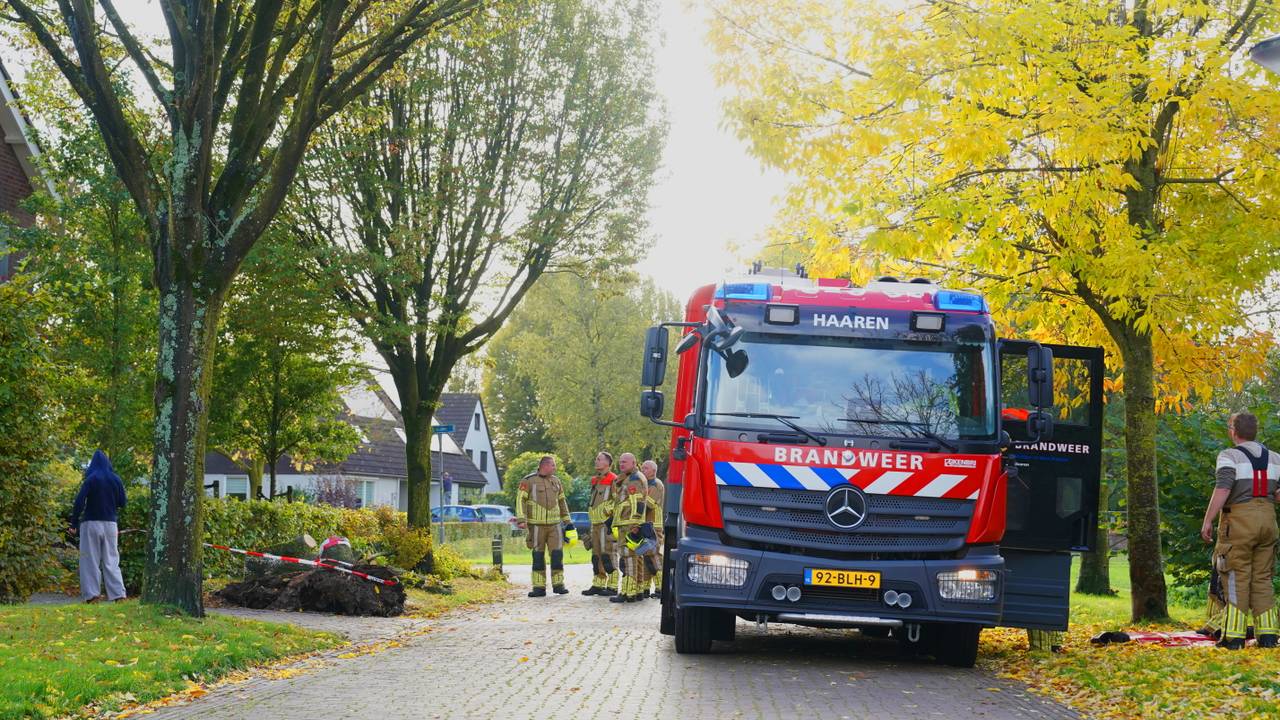 Foto: Bart Meesters/Persbureau Heitink.