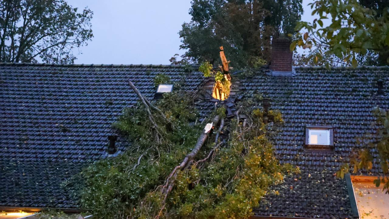 Een boom is op het dak van een woning in Volkel gevallen door de storm (foto: Addy Smits / Persbureau Heitink).
