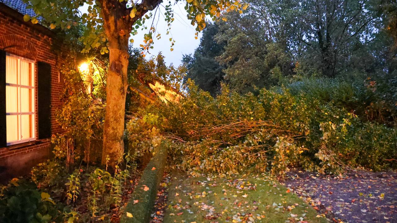 De brandweer heeft de boom in stukken gezaagd (foto: Addy Smits / Persbureau Heitink).