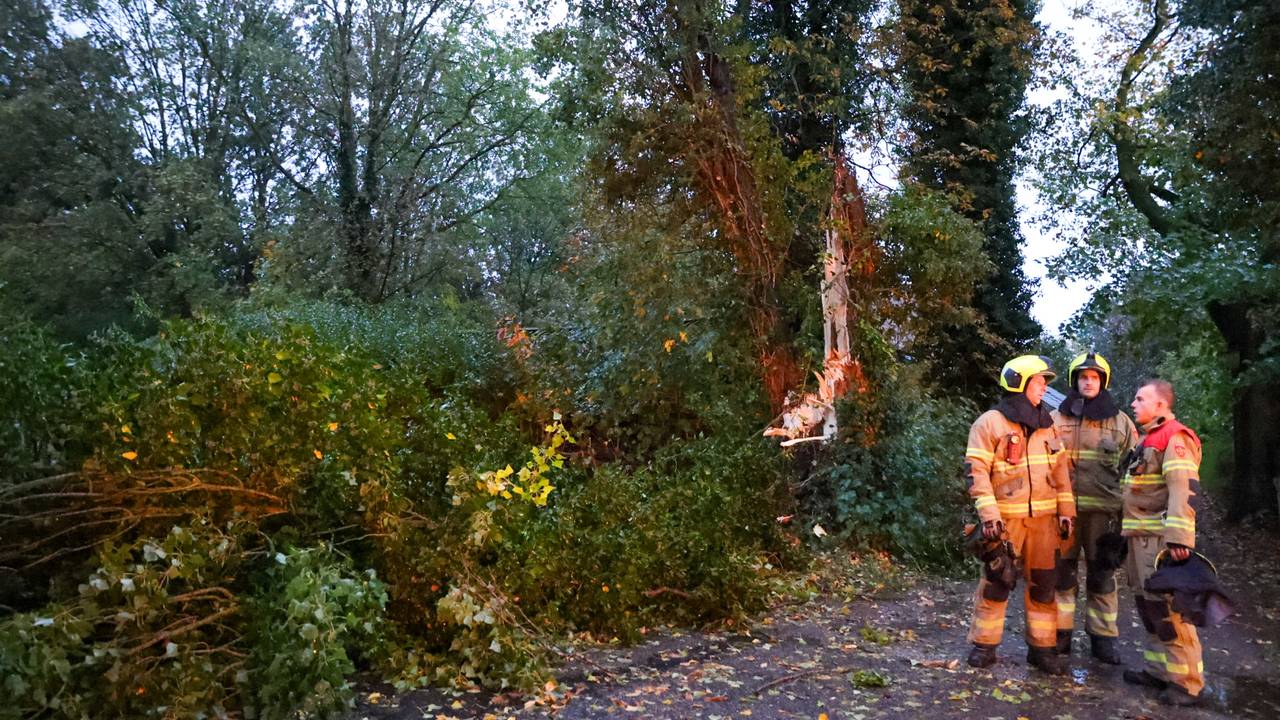 Van de boom is weinig over (foto:  Addy Smits / Persbureau Heitink).