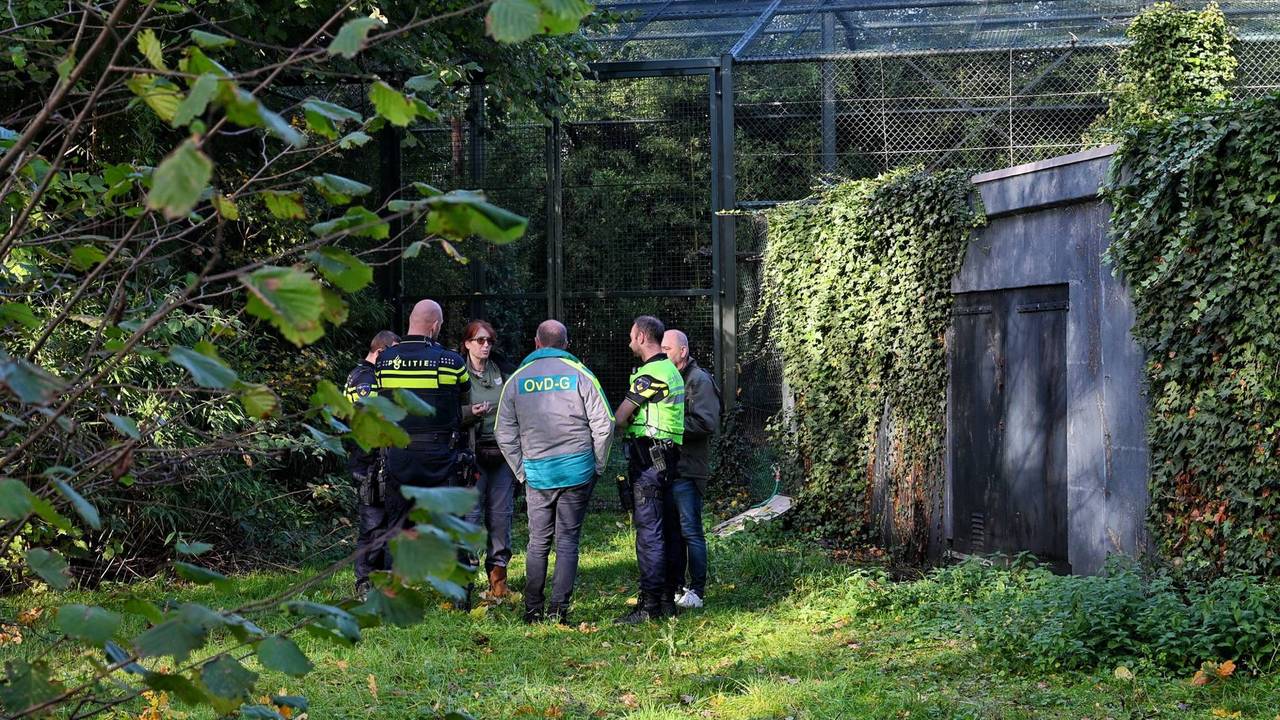 Foto: Toby de Kort / Persbureau Heitink