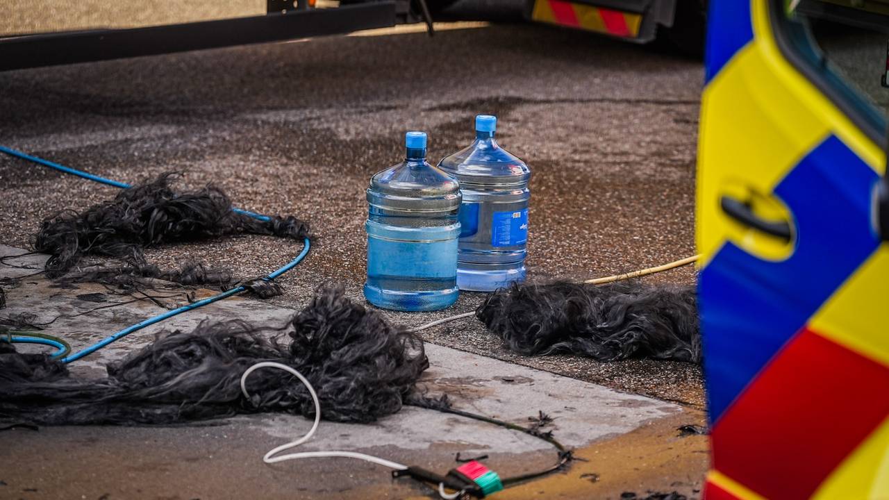 Glazenwasser zwaargewond (foto: Persbureau Heitink).