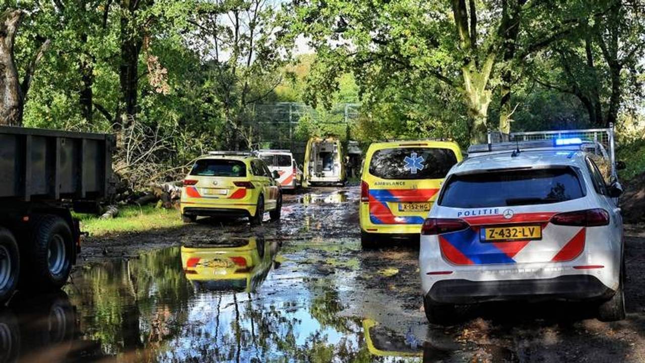 Verzorgster Beekse Bergen overleden na aanval panter (foto: Persbureau Heitink).
