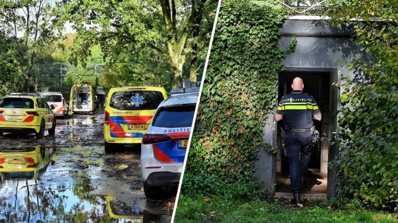 Dierentuinwereld geschokt na dood panterverzorgster: 'Zal lang nadreunen'