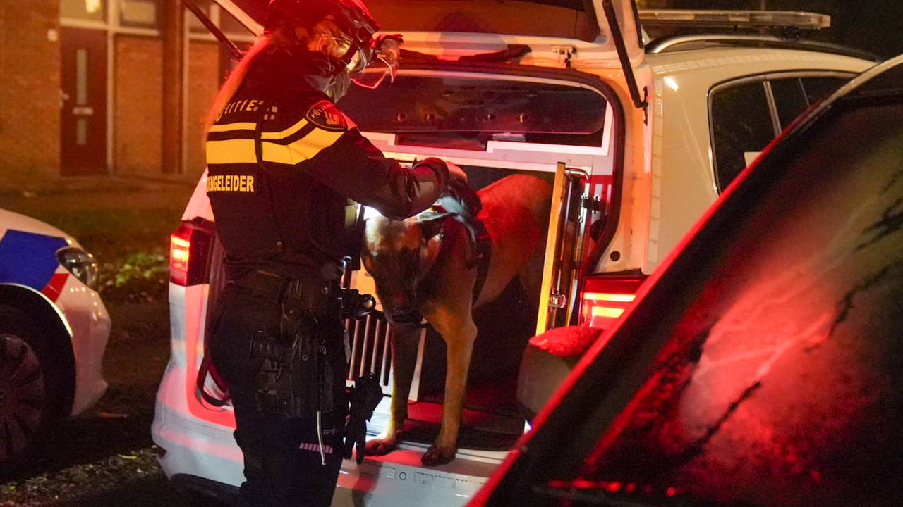 Foto: Harrie Grijseels/Persbureau Heitink.