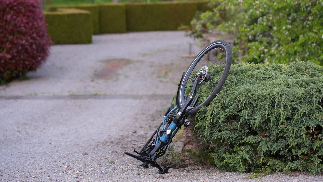 Foto: Persbureau Heitink.