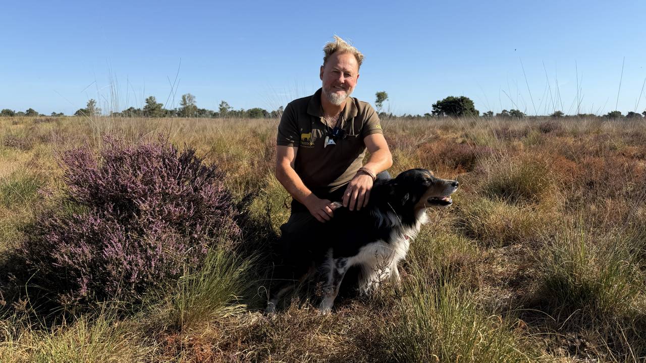 Riaan heeft 1500 schapen op kurkdroge heide: 'Elke dag 5000 liter water'