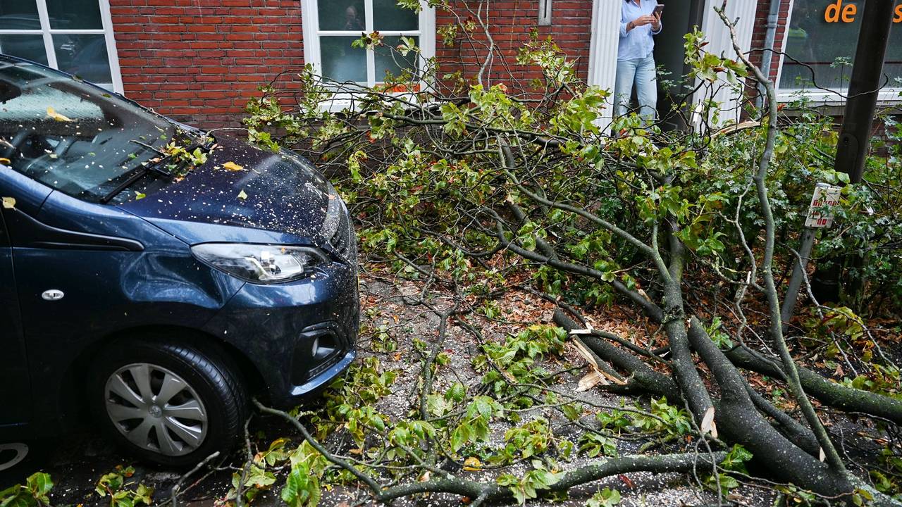 Bliksem ingeslagen in boom in Udenhout: tak belandt op auto en lantaarnpaal