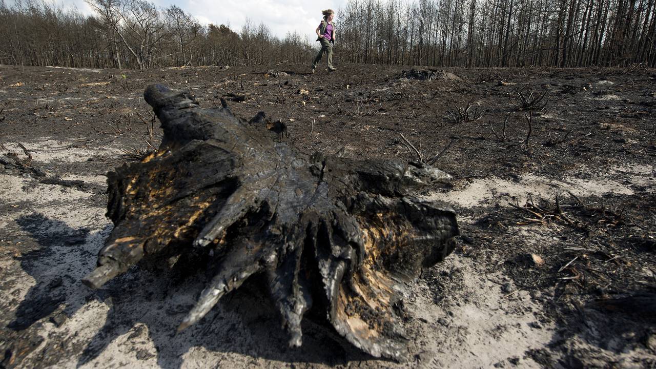 De schade na een verwoestende natuurbrand op de Strabrechtse Heide (foto: ANP).