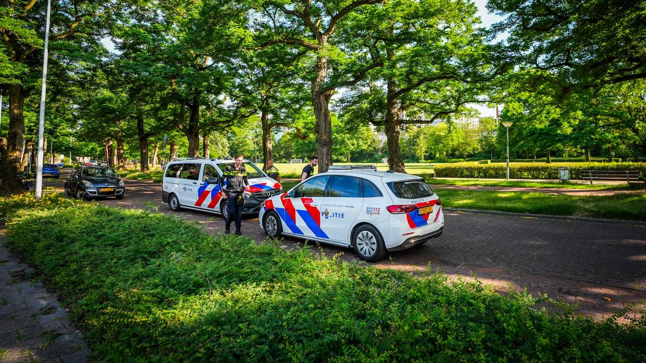 Beroving in park in Eindhoven (foto: SQ Vision).