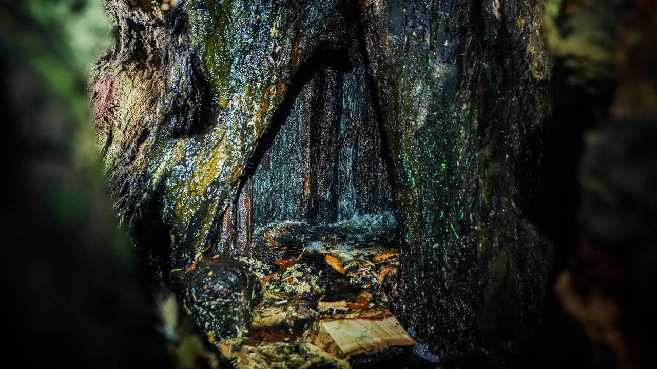 Foto: Persbureau Heitink.
