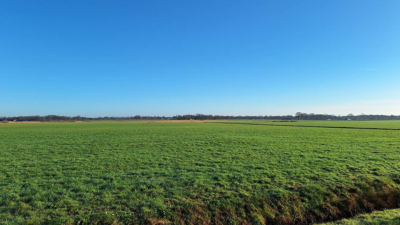 Blauw en groen, wat een mooi plaatje (foto: Don van Dongen).
