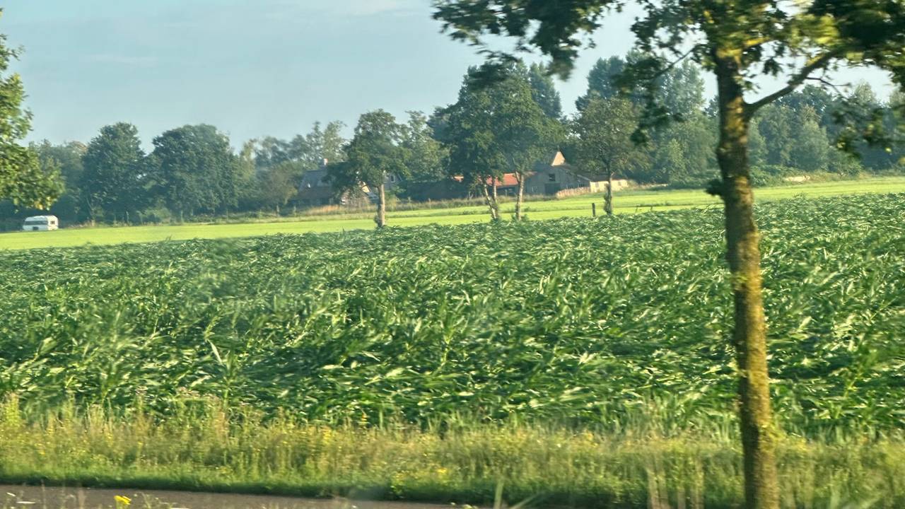 Tussen Boxtel en Oisterwijk hetzelfde verhaal (foto: Paul Duyn).