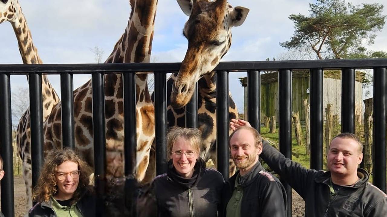 Deze hulpboeren verruilen de koeienstal voor giraffen en neushoorns