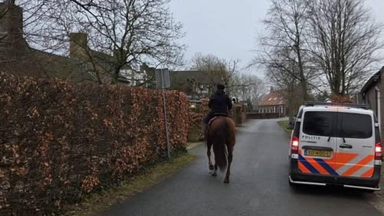 De ruiter moest plassen, maar haar paard ging er vandoor (foto: Politie Waalwijk en Loon op Zand).