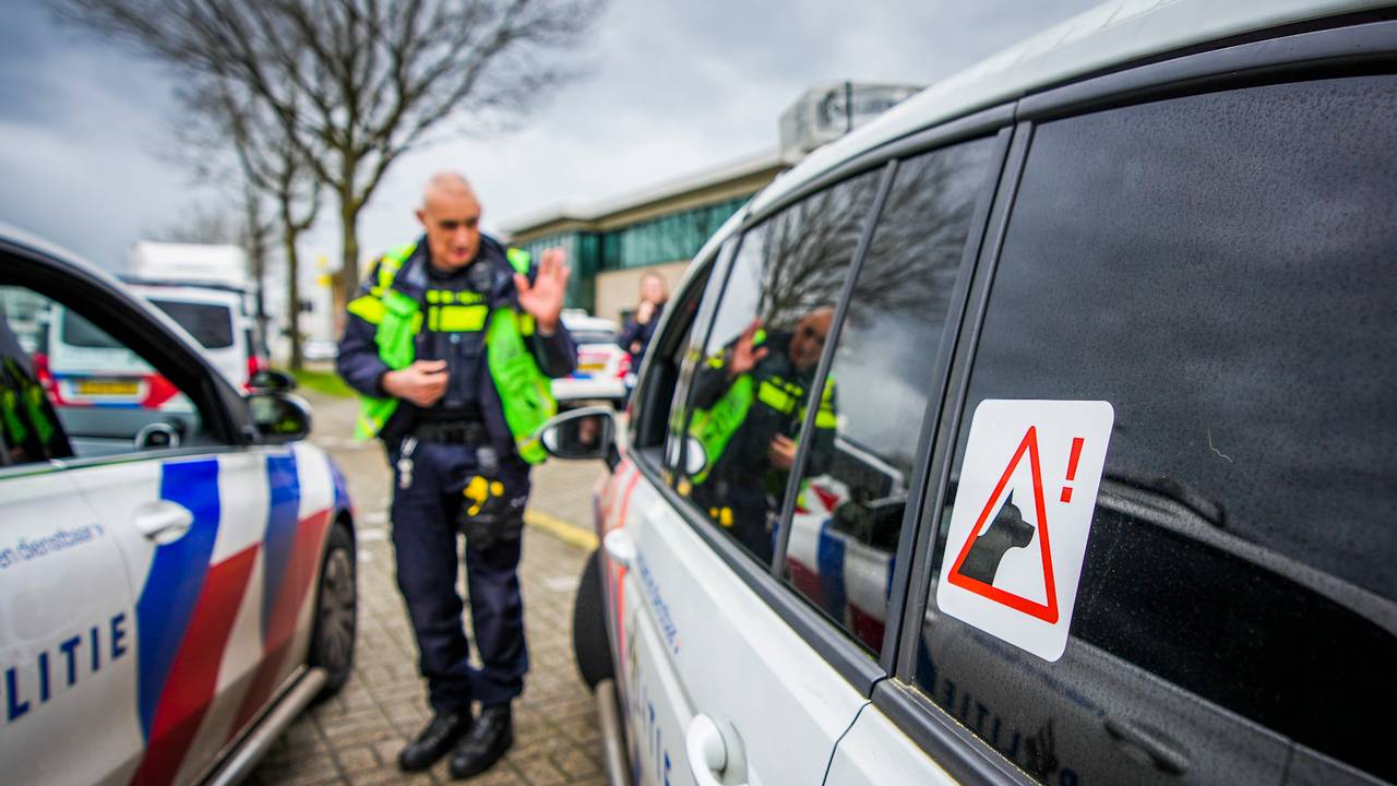 Squatters Receive Legal Protection in Eindhoven Standoff with Police
