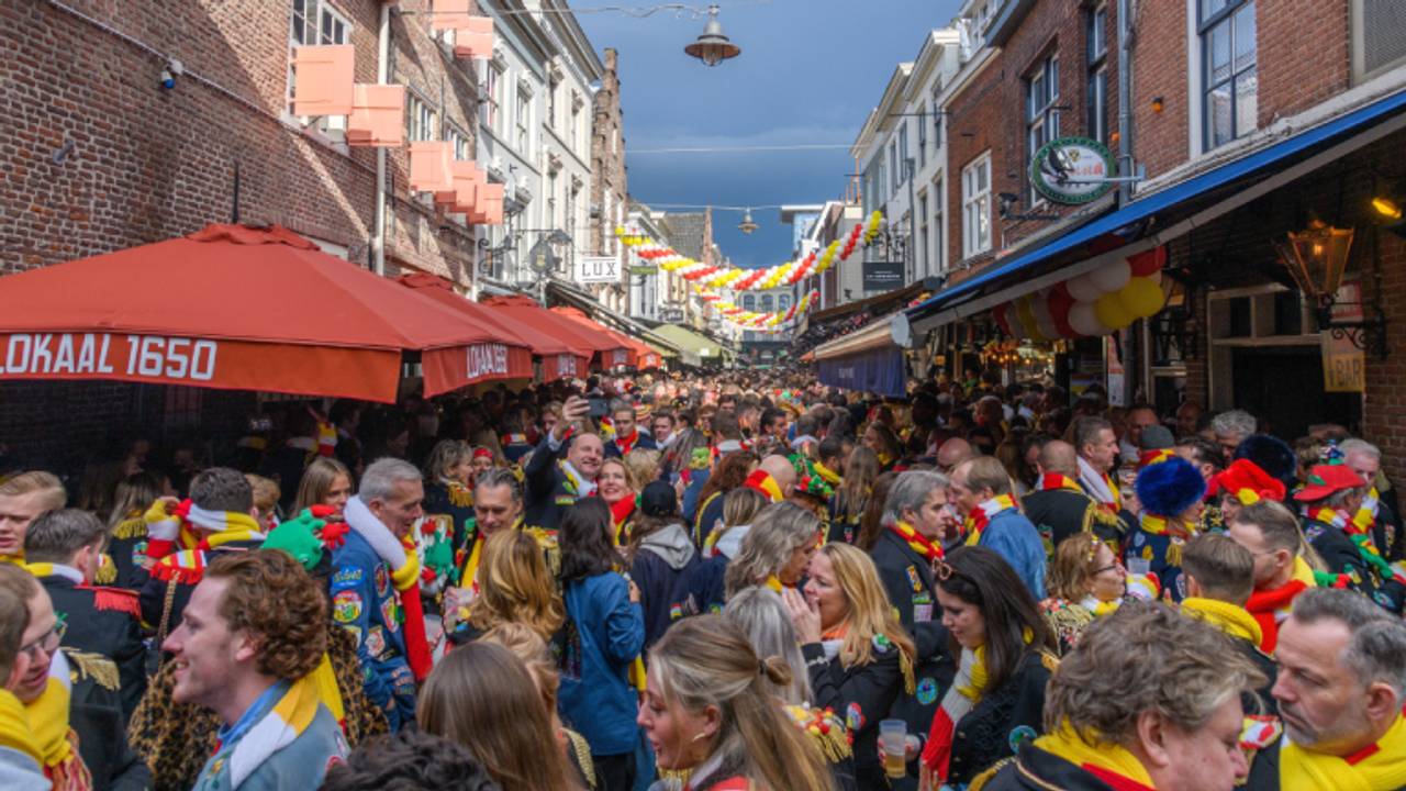 Elfde van de Elfde in Den Bosch (foto: ANP/Paul van Baartwijk).