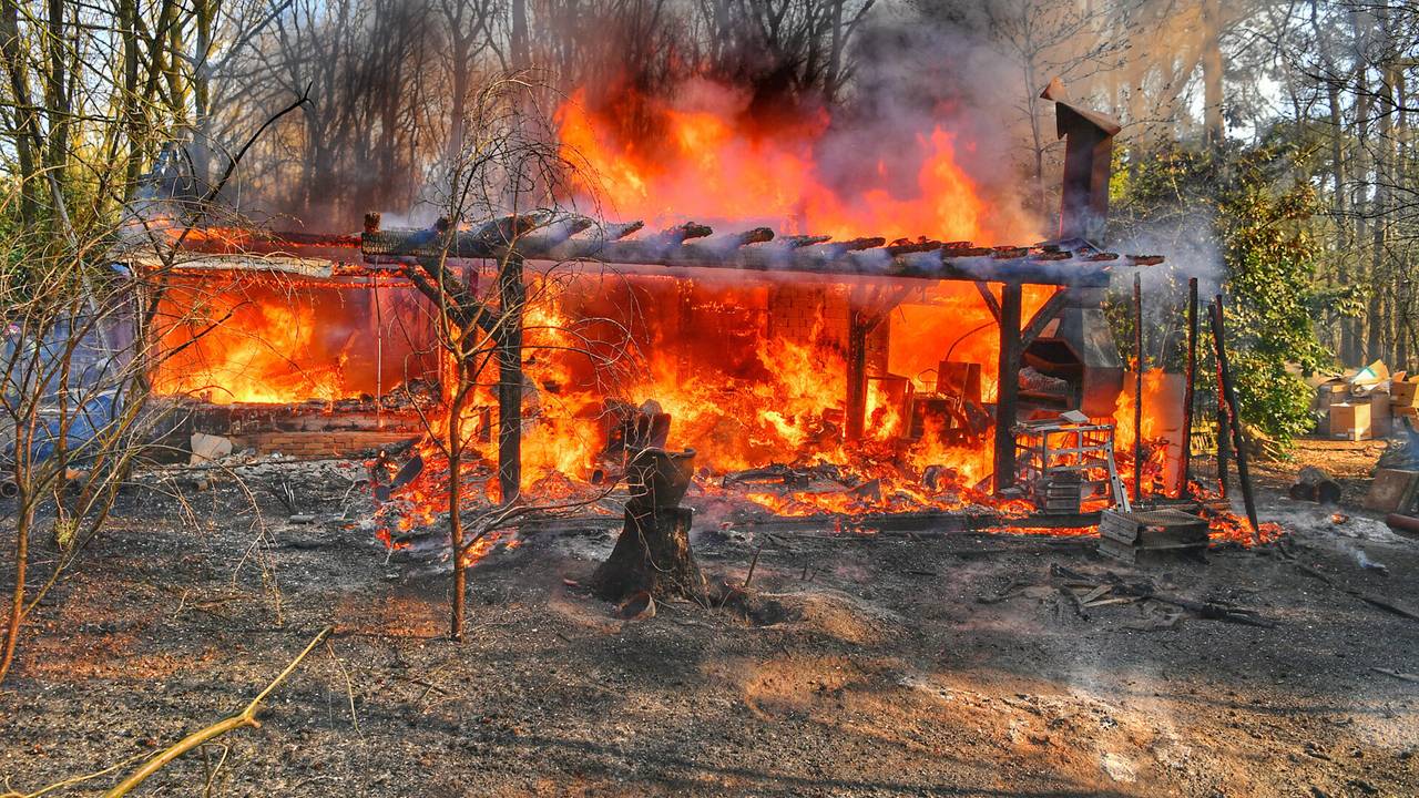 Foto: Rico Vogels/SQ Vision