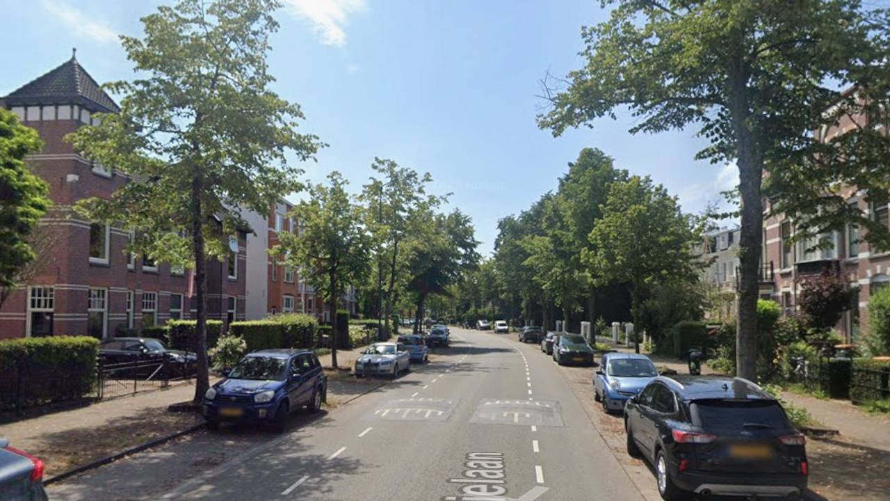 In de Baronielaan in Breda staan 190 miljoenenwoningen (foto: Google Maps).